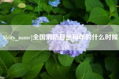 林州全国消防日是每年的什么时候