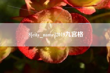 林州2019九宫格