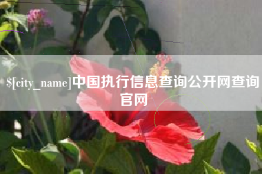 林州中国执行信息查询公开网查询官网
