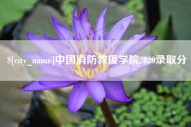 林州中国消防救援学院2020录取分