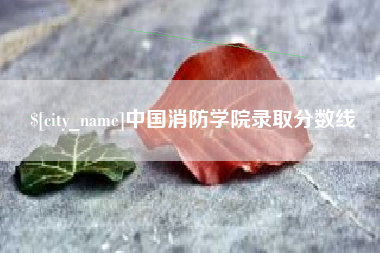 林州中国消防学院录取分数线