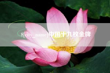 林州中国十九枚金牌
