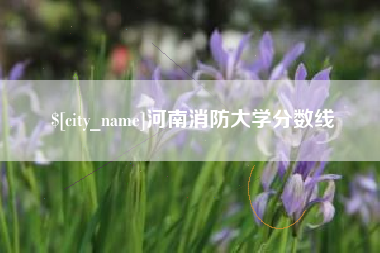 林州河南消防大学分数线