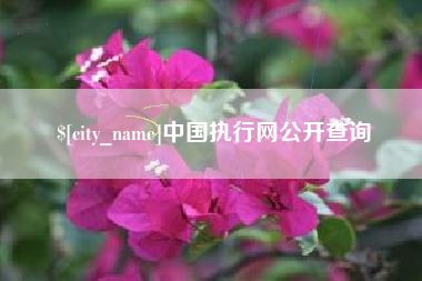 林州中国执行网公开查询