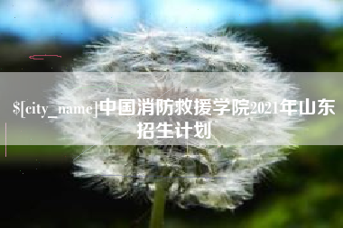林州中国消防救援学院2021年山东招生计划