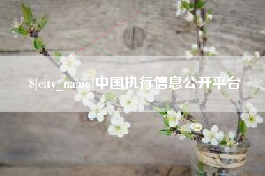 林州中国执行信息公开平台