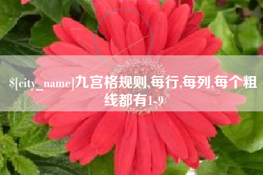 林州九宫格规则,每行,每列,每个粗线都有1-9