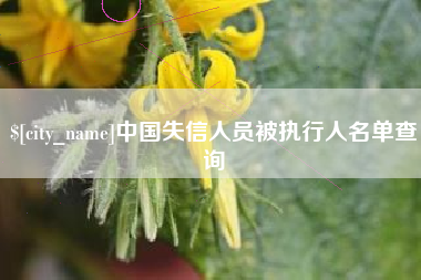 林州中国失信人员被执行人名单查询
