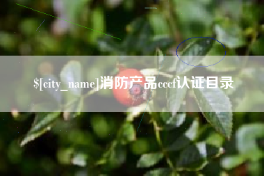 林州消防产品cccf认证目录