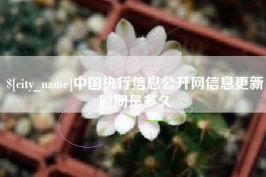 林州中国执行信息公开网信息更新时间是多久