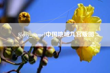 林州中国地域九宫版图