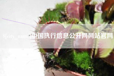 林州中国执行信息公开网网站官网