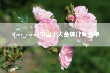 林州中国十大金牌律师名单