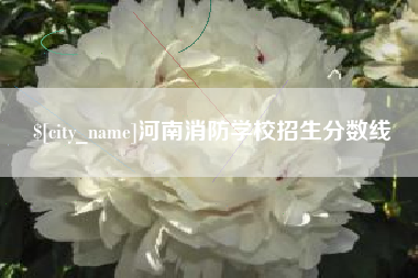 林州河南消防学校招生分数线