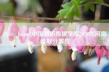 林州中国消防救援学院2020年河南录取分数线