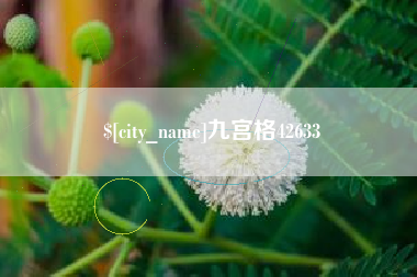林州九宫格42633