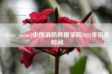 林州中国消防救援学院2021年报名时间