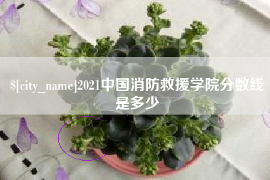 林州2021中国消防救援学院分数线是多少