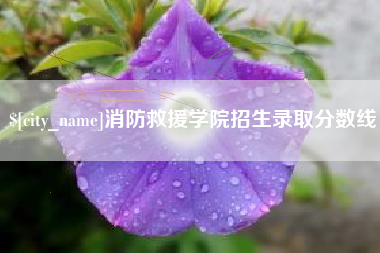 林州消防救援学院招生录取分数线