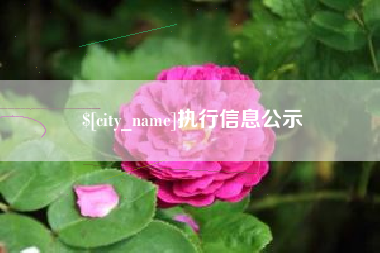 林州执行信息公示