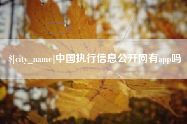 林州中国执行信息公开网有app吗