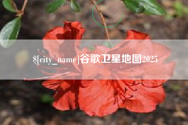 林州谷歌卫星地图2025