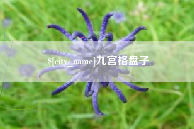 林州九宫格盘子