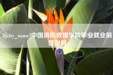 林州中国消防救援学院毕业就业前景如何