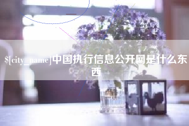 林州中国执行信息公开网是什么东西
