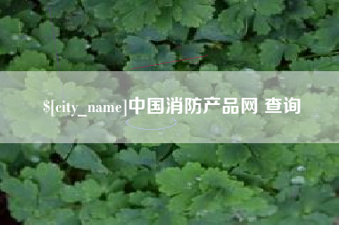 林州中国消防产品网 查询