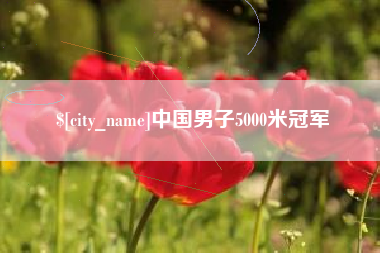 林州中国男子5000米冠军