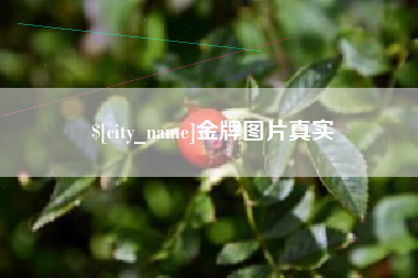 林州金牌图片真实