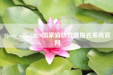 林州2020国家消防救援报名系统官网