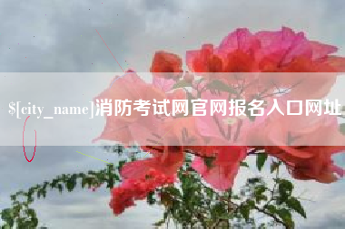 林州消防考试网官网报名入口网址
