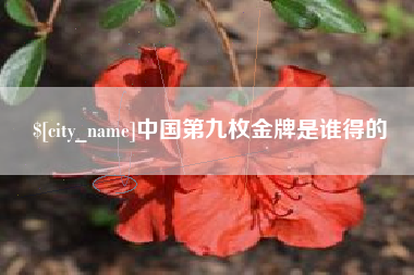 林州中国第九枚金牌是谁得的