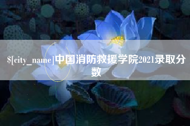 林州中国消防救援学院2021录取分数