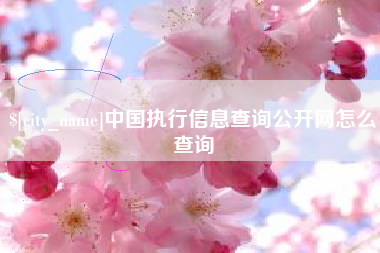 林州中国执行信息查询公开网怎么查询