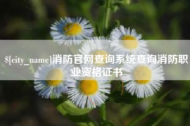 林州消防官网查询系统查询消防职业资格证书