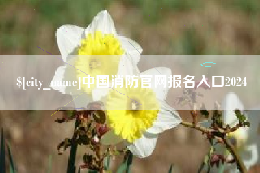 林州中国消防官网报名入口2024