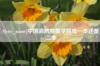 林州中国消防救援学院是一本还是二本