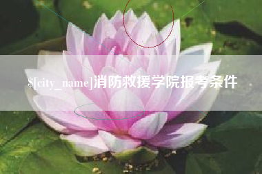 林州消防救援学院报考条件