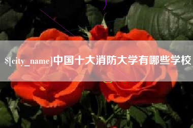 林州中国十大消防大学有哪些学校