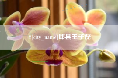 林州邱县王子磊