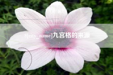 林州九宫格的来源