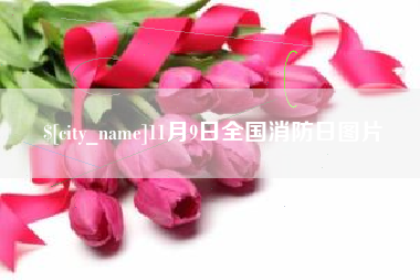 林州11月9日全国消防日图片