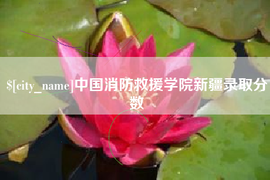 林州中国消防救援学院新疆录取分数