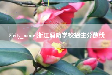 林州浙江消防学校招生分数线