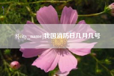 林州我国消防日几月几号
