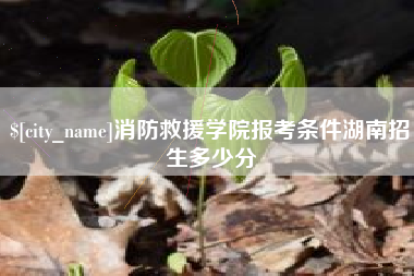林州消防救援学院报考条件湖南招生多少分