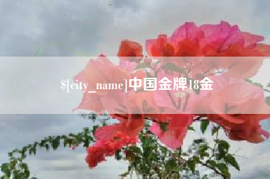 林州中国金牌18金
